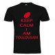 Tee Shirt Keep Calm I Am Toulousain