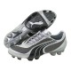 Puma V5.08 SL IFG Argent