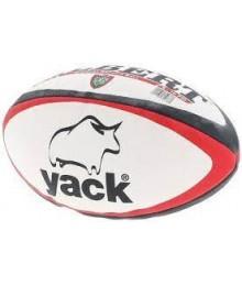 Ballon rugby Gilbert réplica Toulon YACK